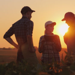 Como gerar boas histórias no marketing rural