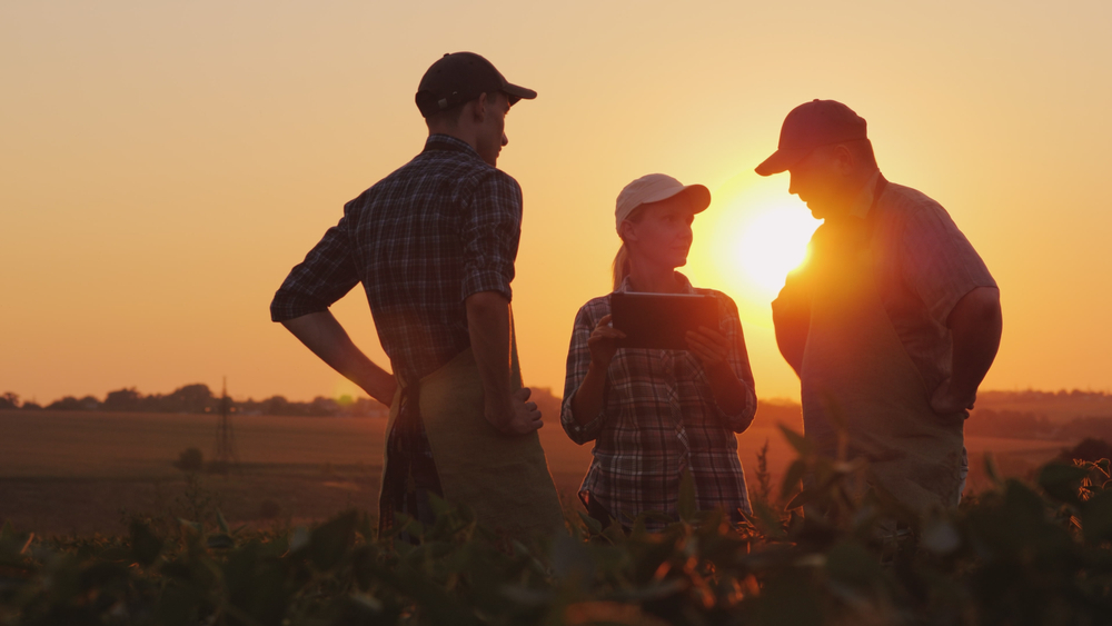 Como gerar boas histórias no marketing rural