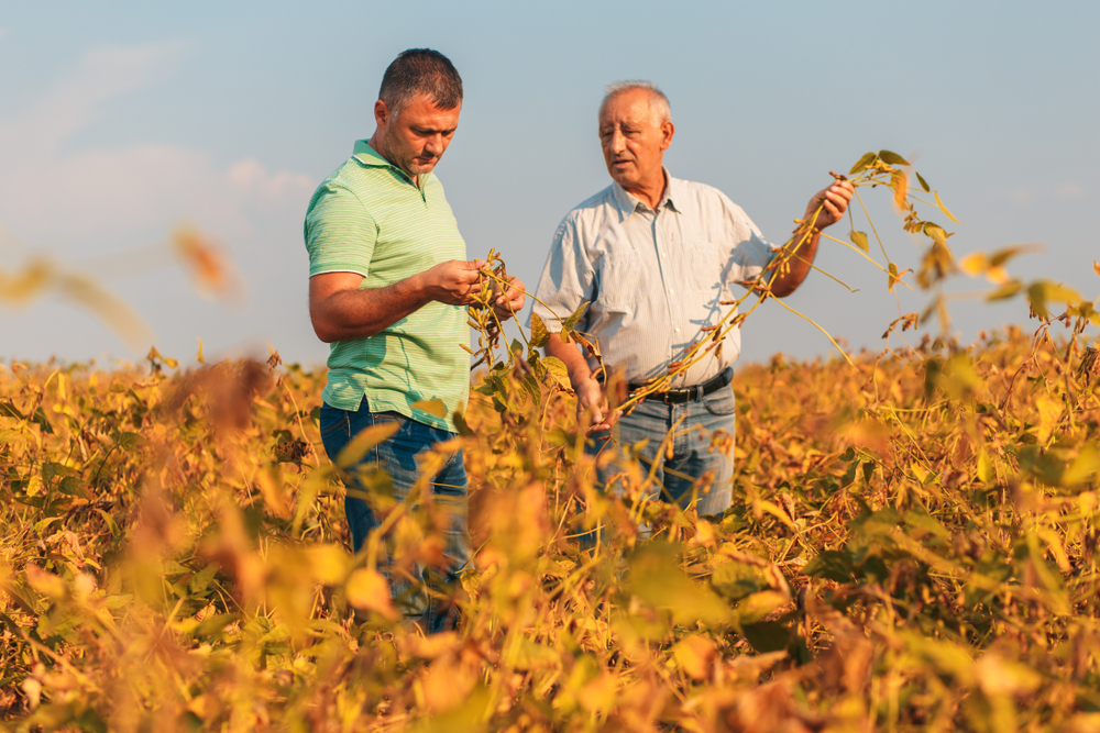 Marketing para agricultura familiar em 3 pontos essenciais